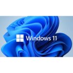Microsoft Windows 11 Professional 64-bit Operating System